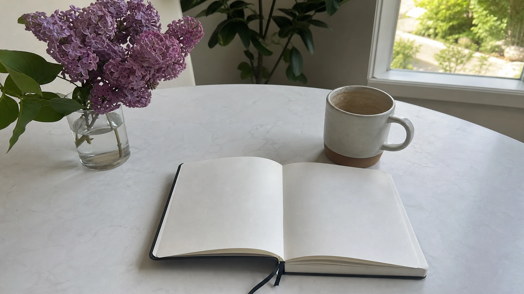 Lilac Oil Glossary: Terms in the Order You Meet Them
